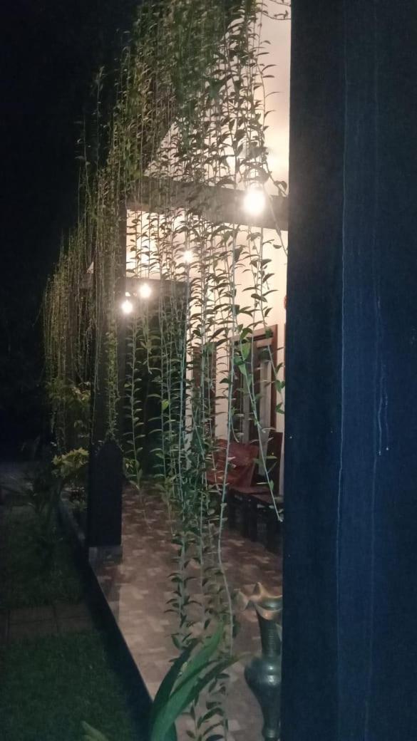 Hotel Awaken Dambulla Bagian luar foto